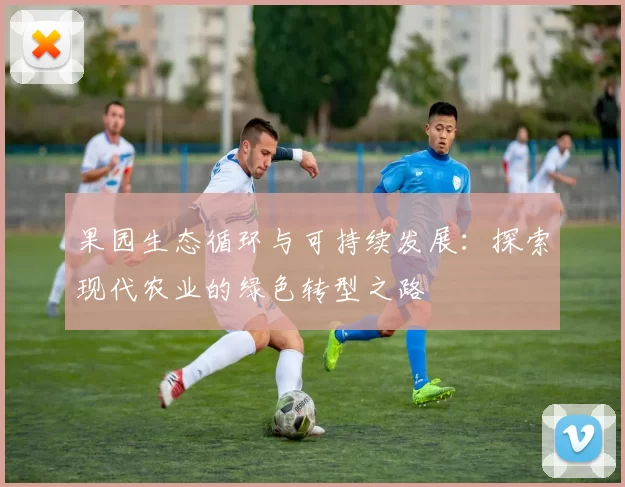 果园生态循环与可持续发展：探索现代农业的绿色转型之路