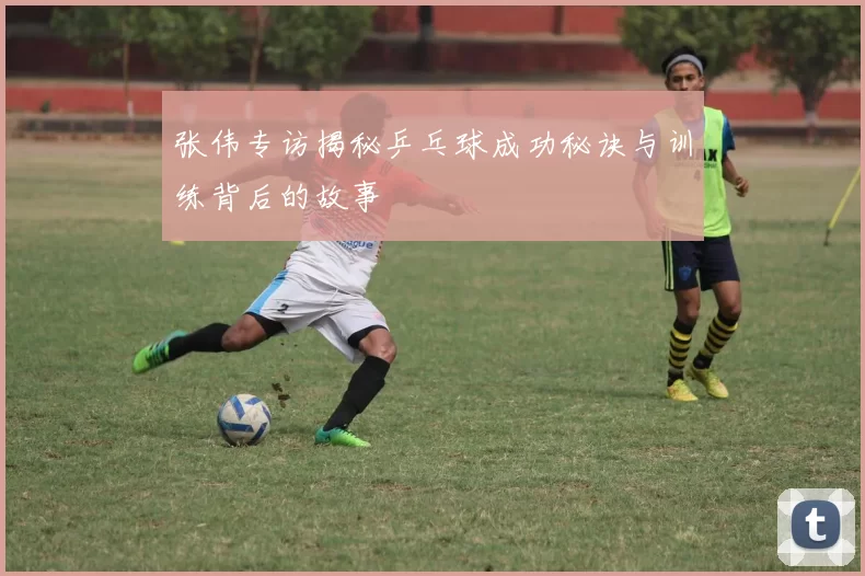 张伟专访揭秘乒乓球成功秘诀与训练背后的故事