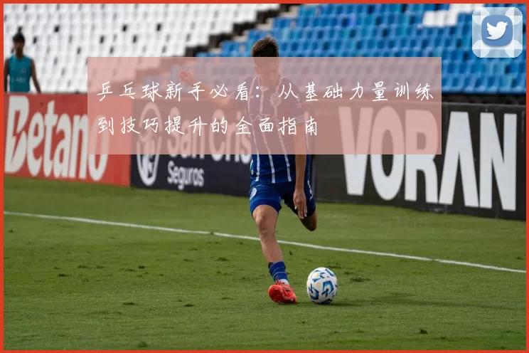 乒乓球新手必看：从基础力量训练到技巧提升的全面指南