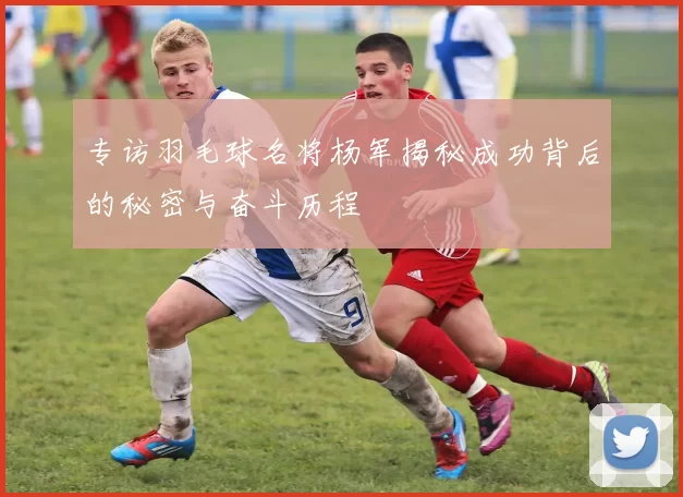 专访羽毛球名将杨军揭秘成功背后的秘密与奋斗历程