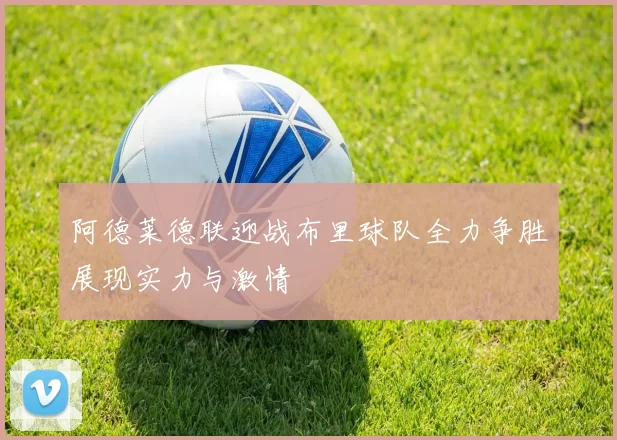 阿德莱德联迎战布里球队全力争胜展现实力与激情