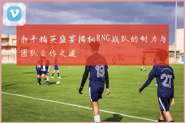 和平精英盛宴揭秘RNG战队的耐力与团队合作之道