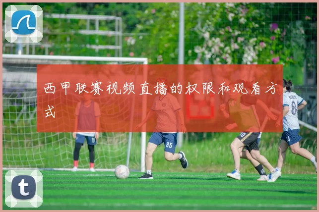 西甲联赛视频直播的权限和观看方式