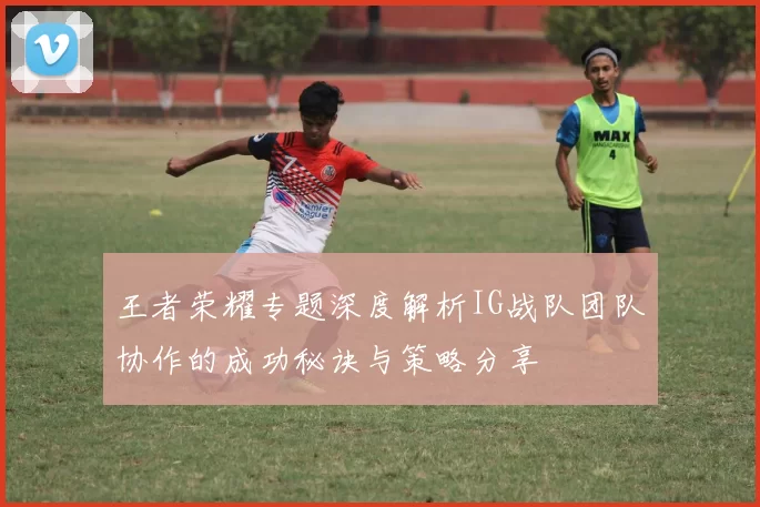 王者荣耀专题深度解析IG战队团队协作的成功秘诀与策略分享