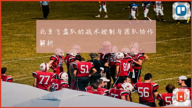 北京飞盘队的战术控制与团队协作解析