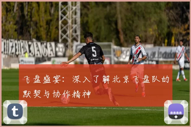 飞盘盛宴：深入了解北京飞盘队的默契与协作精神