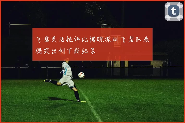 飞盘灵活性评比揭晓深圳飞盘队表现突出创下新纪录